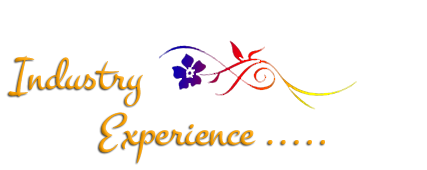 Industry Experience